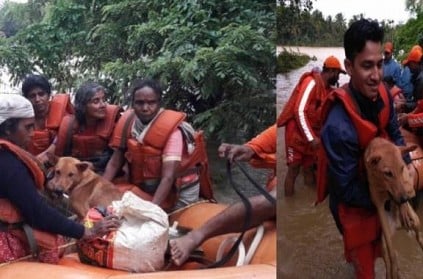 Kerala woman refuses to come unless her 25 dogs are rescued
