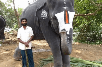 Elephant plays mouth organ in Tamil Nadu Tuticorin district