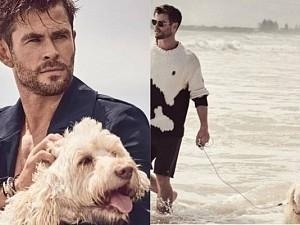 Chris Hemsworth of Extraction fame congratulates his dog
