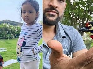 M.S. Dhoni and Ziva rescue an unconscious bird together