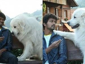 Nah. It’s not Thalapathy’s new best friend or something but a throwback picture. Guess which film?